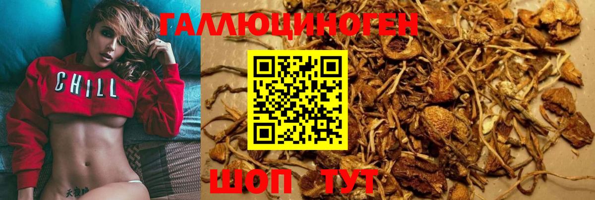 Галлюциногенные грибы GOLDEN TEACHER  Псилоцибиновые грибы Magic Shrooms  Вход с VPN  Донецк 